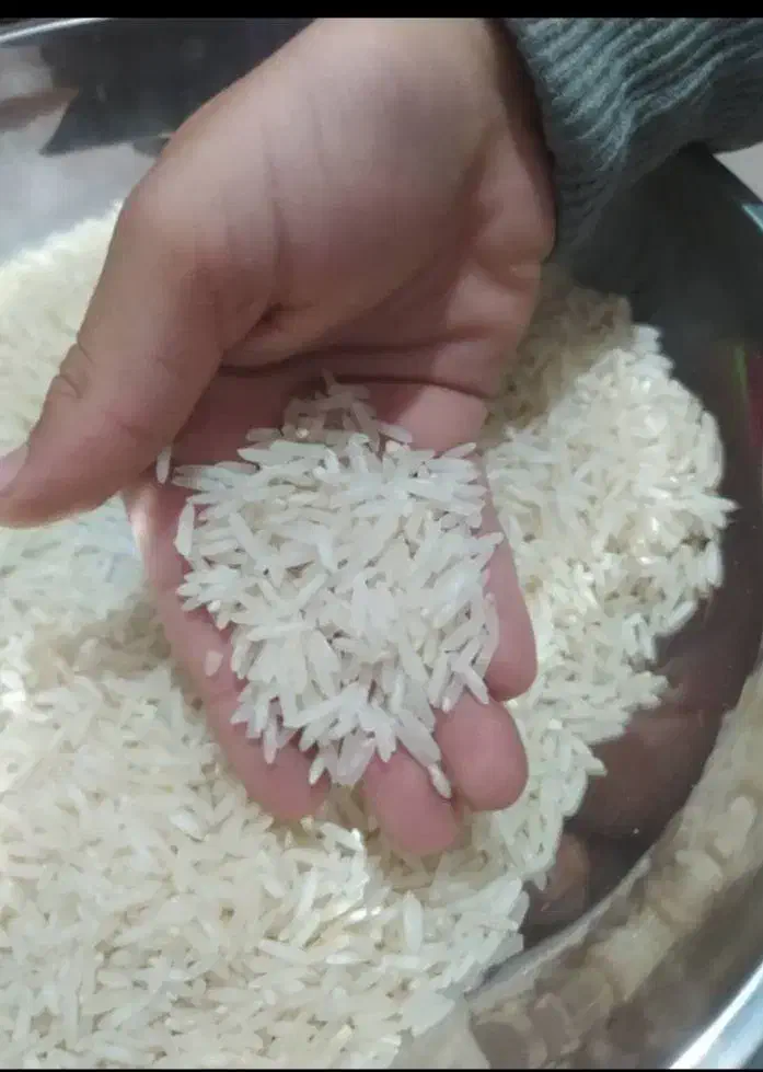 برنج درجه یک سیمان درهشهر|عمدهفروشی|دره شهر, |دیوار