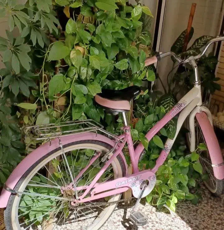 دوچرخه|دوچرخه، اسکیت، اسکوتر|اصفهان, لیمجیر|دیوار