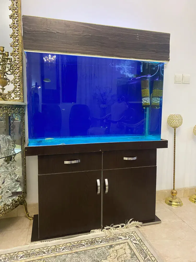 آکواریوم شیشه خم با کمد باهمه تجهیزات|ماهی|هشتگرد, فاز ۳ مهستان|دیوار
