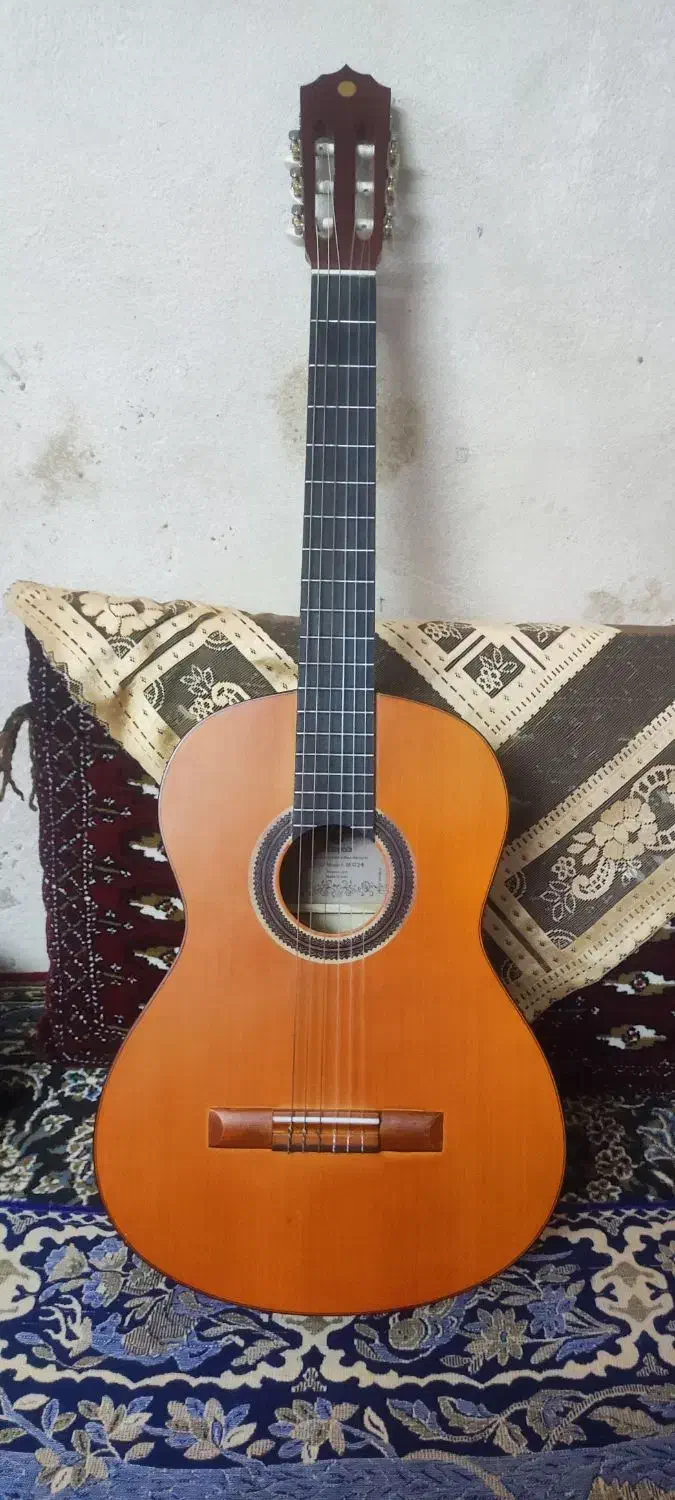 گیتار متاپور|گیتار، بیس، امپلیفایر|اسفراین, |دیوار