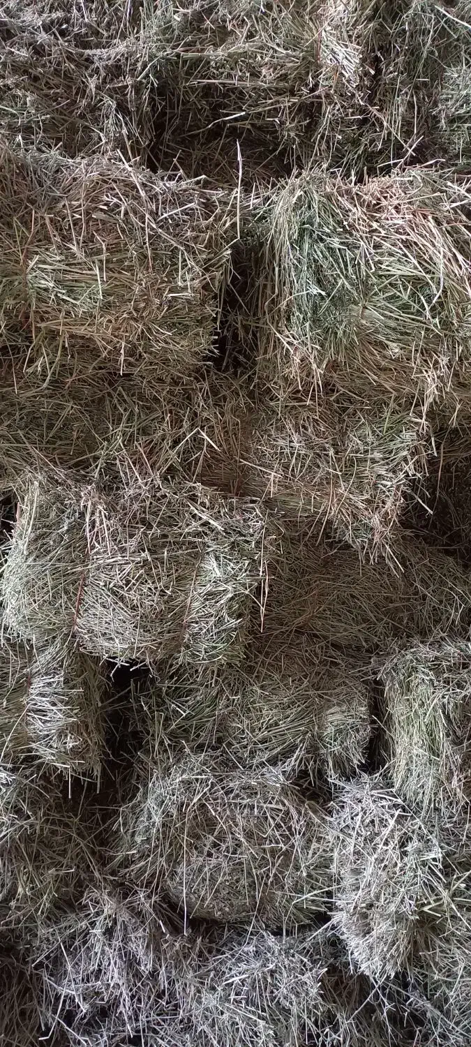 یونجه پرس انباری چین ۳|لوازم جانبی حیوانات|اراک, |دیوار