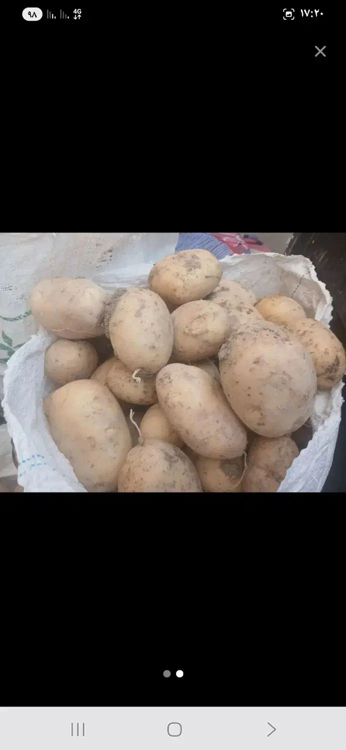 سیب زمینی تازه|عمدهفروشی|بروجن, |دیوار