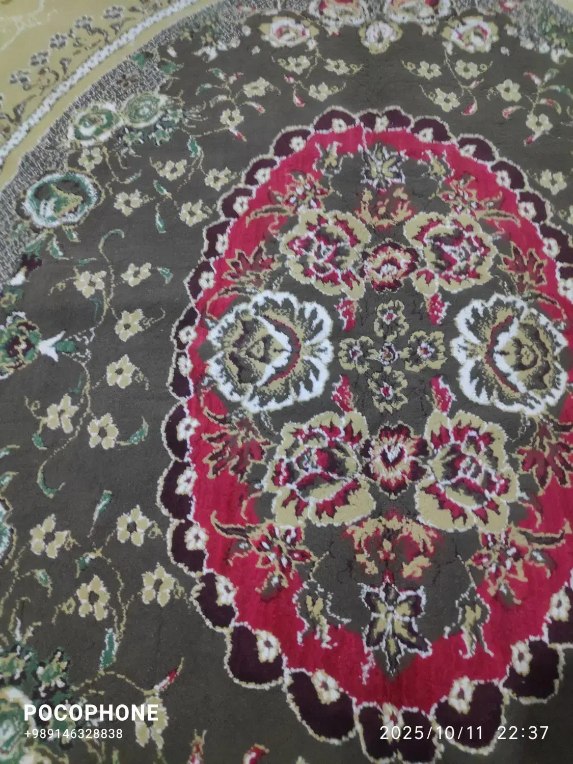 دو عدد فرش ۳×۴|فرش|سردشت, |دیوار