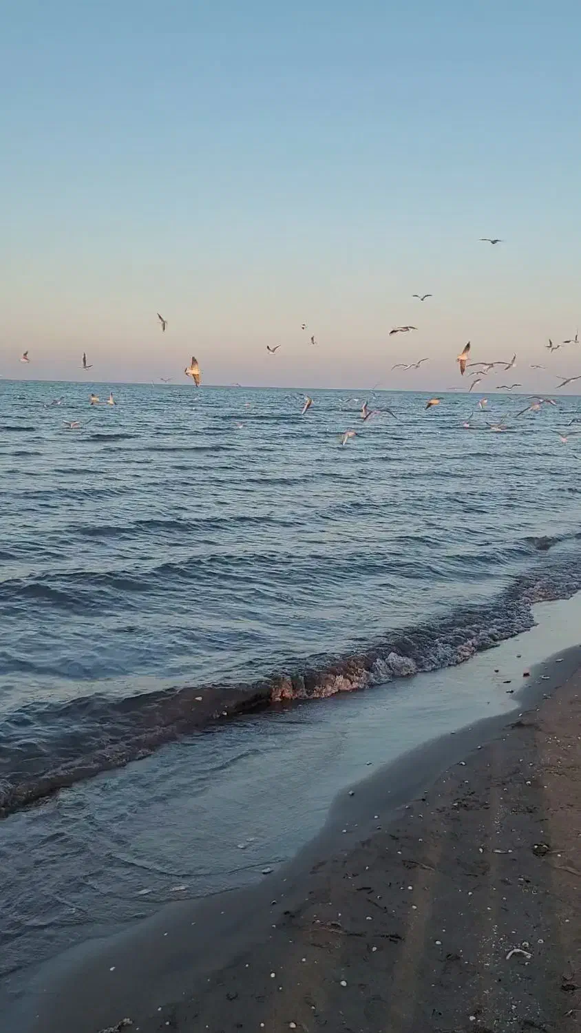 فروش یک خط رند با پیش شماره ۱|سیمکارت|تهران, توحید|دیوار