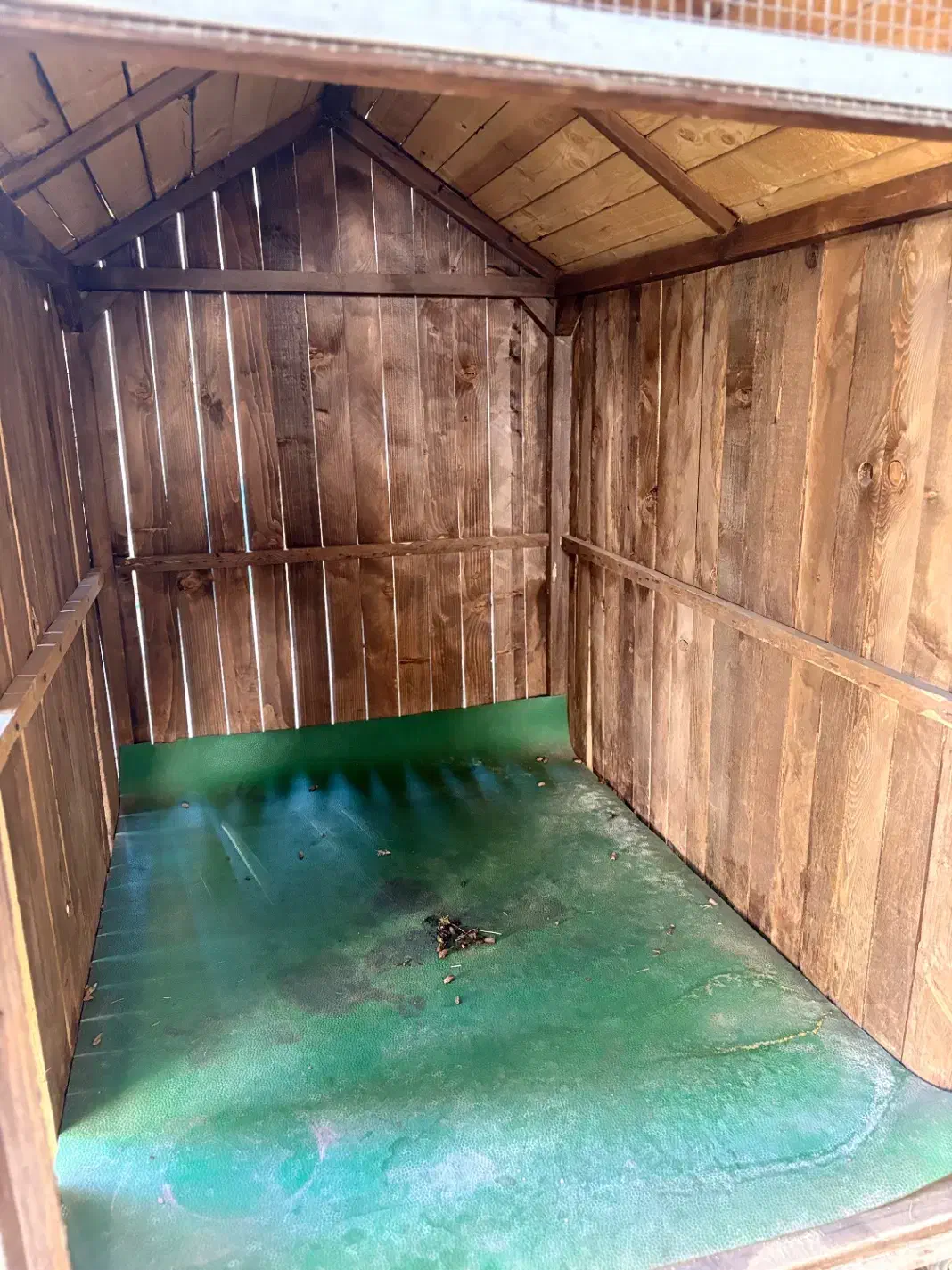 قفس|لوازم جانبی حیوانات|بم, |دیوار