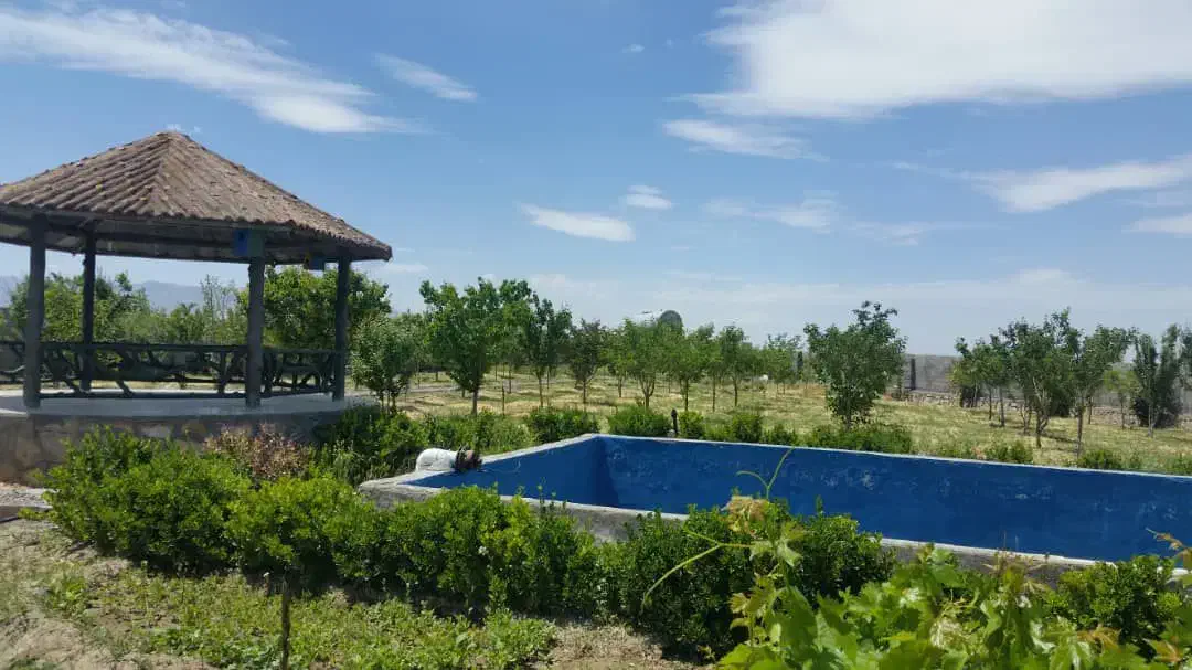 باغ چاه شماره ۲ / ۳۰۰۰ متر|فروش زمین و ملک کلنگی|گلبهار, نوبهار|دیوار