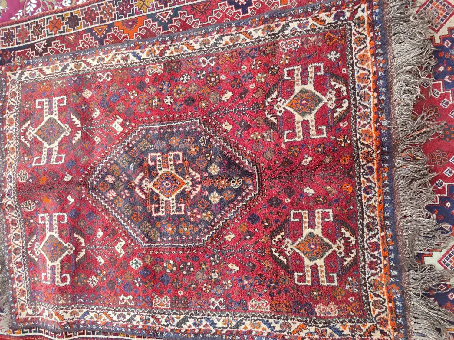 قالی دستباف قدیمی|فرش|مرودشت, محمد آباد|دیوار