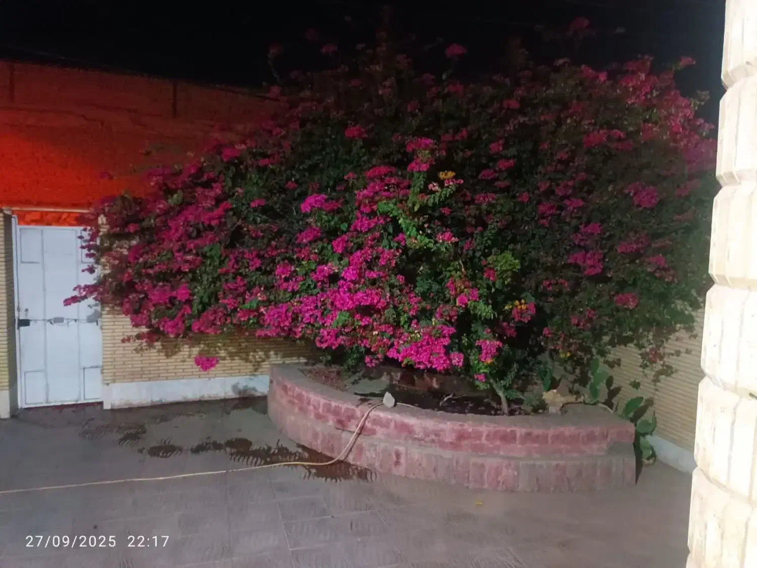 ویلایی ۱۴۰ متر سه خواب|اجارهٔ خانه و ویلا|جیرفت, |دیوار