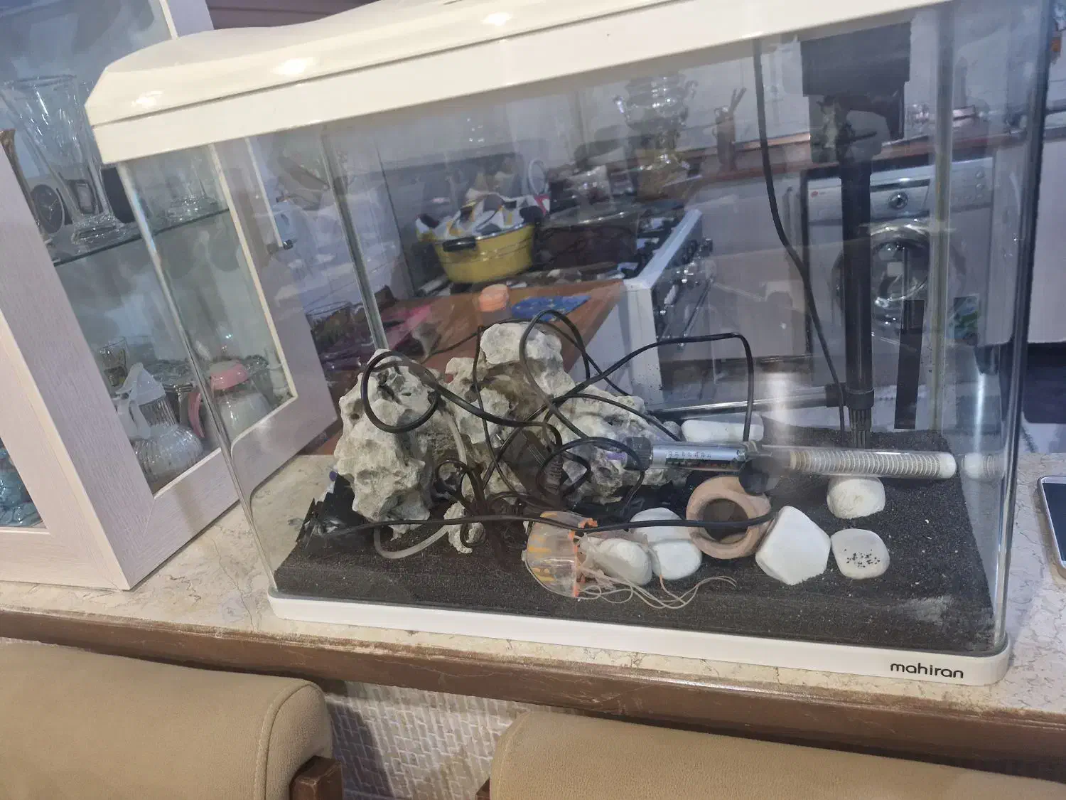 اکواریوم شیشه خم|ماهی|کرج, شهرک امیر المومنین|دیوار