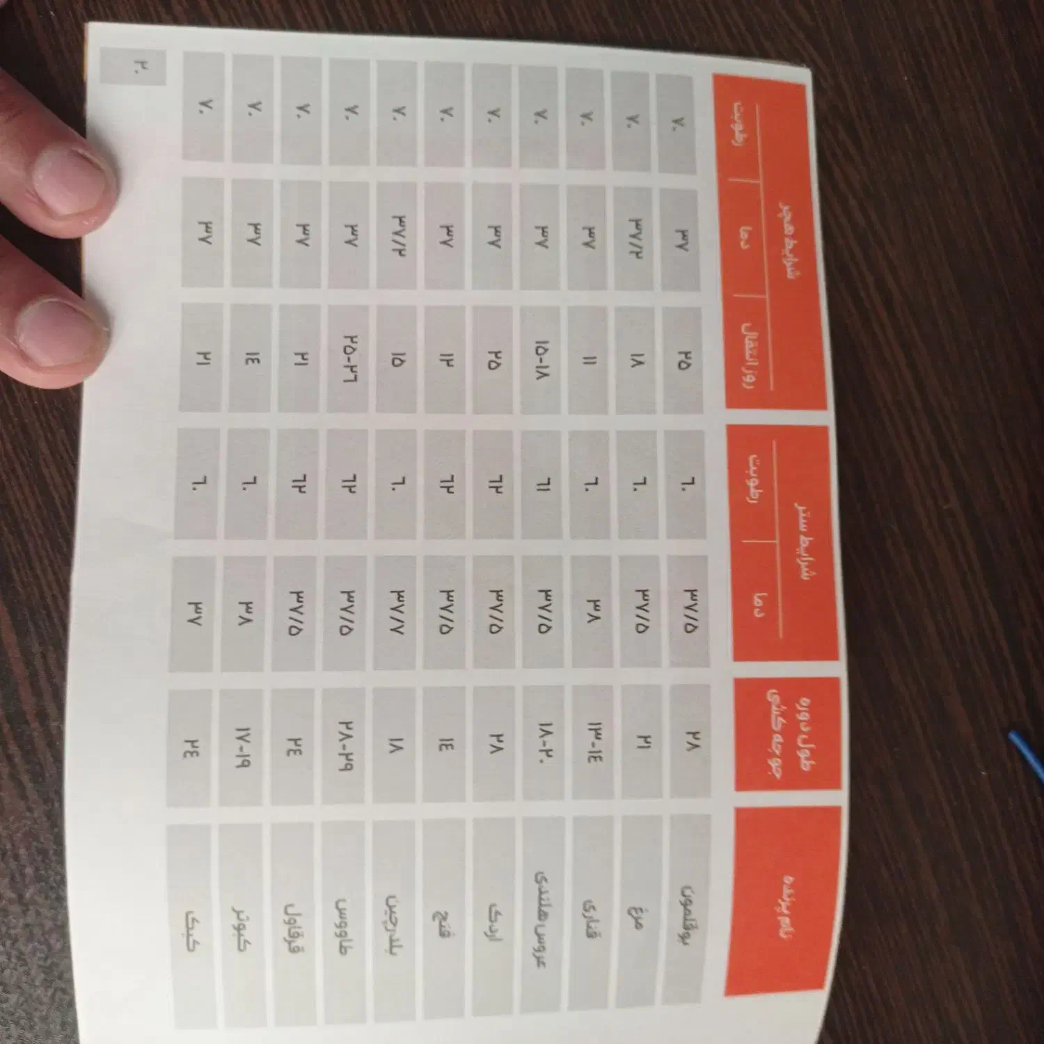 دستگاه جوجه کشی|لوازم جانبی حیوانات|نیک شهر, |دیوار