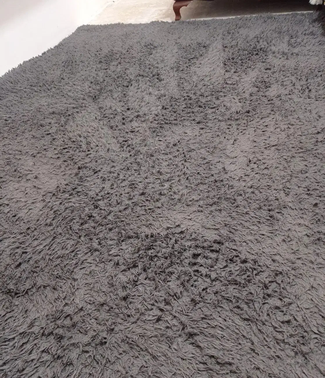 فرش|فرش|فردیس, شهرک ناز|دیوار