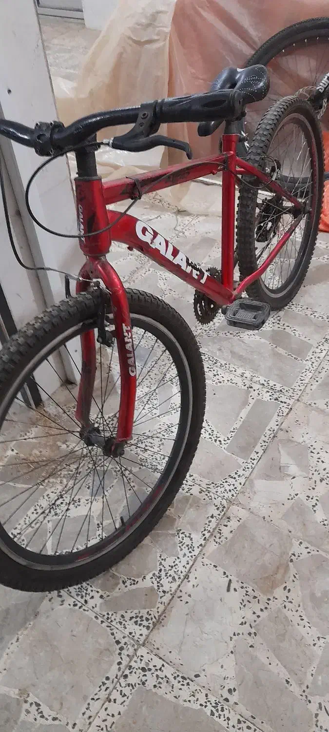 دوچرخه 26|دوچرخه، اسکیت، اسکوتر|تولم شهر, |دیوار