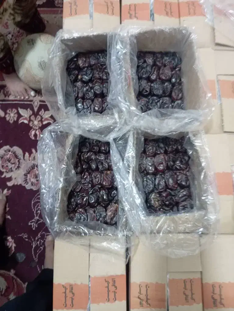 خرما از باغ به مشتری بدون واسطه|خوردنی و آشامیدنی|قم, پردیسان|دیوار