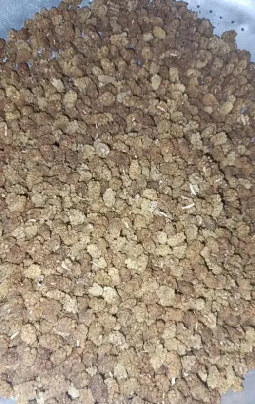 توت خشک حیوانی|خوردنی و آشامیدنی|یزد, |دیوار