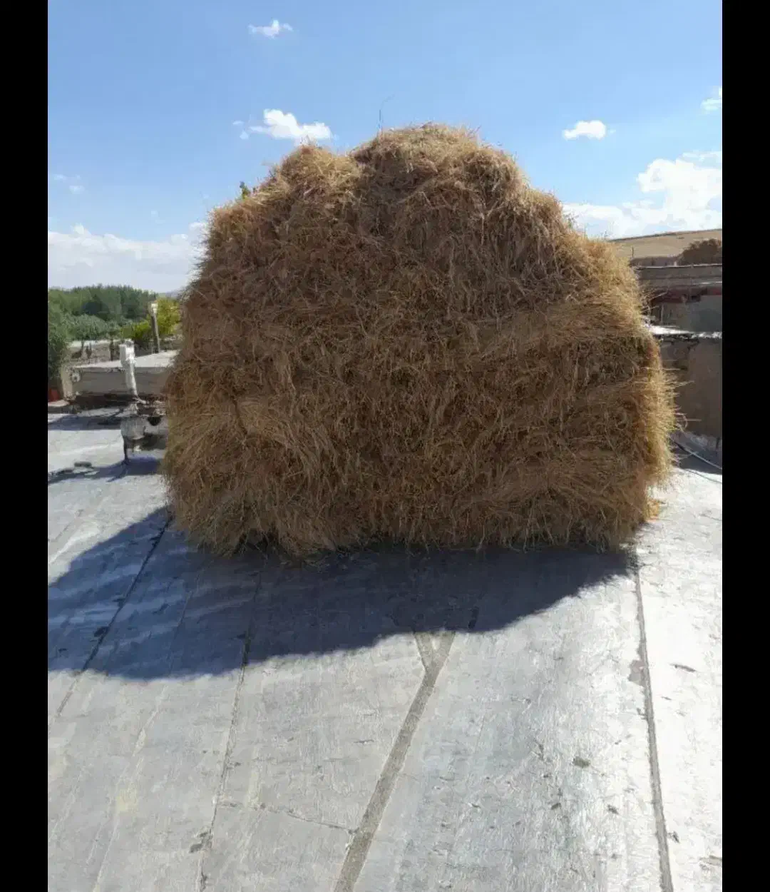 خصیل جو و یونجه|لوازم جانبی حیوانات|اقبالیه, |دیوار