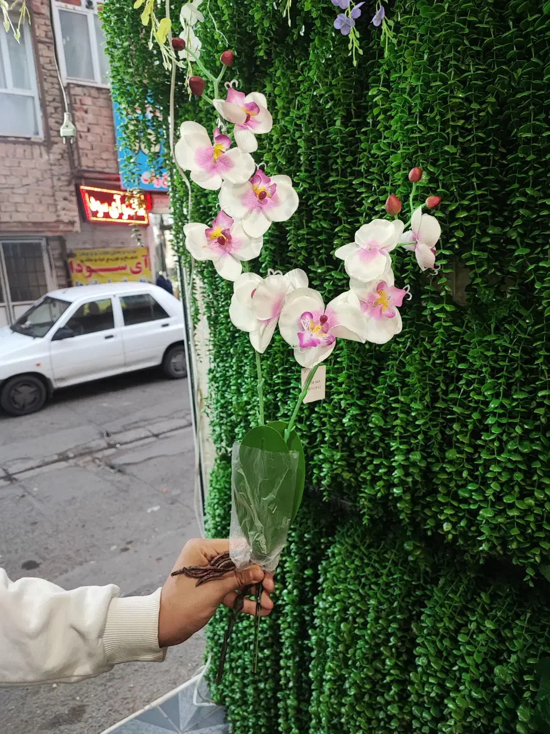 ارکیده مصنوعی|گل مصنوعی|قم, نیروگاه|دیوار