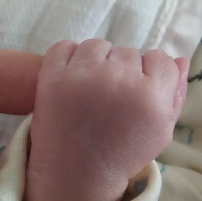 راهنما|فعالیت داوطلبانه|زاهدان, |دیوار