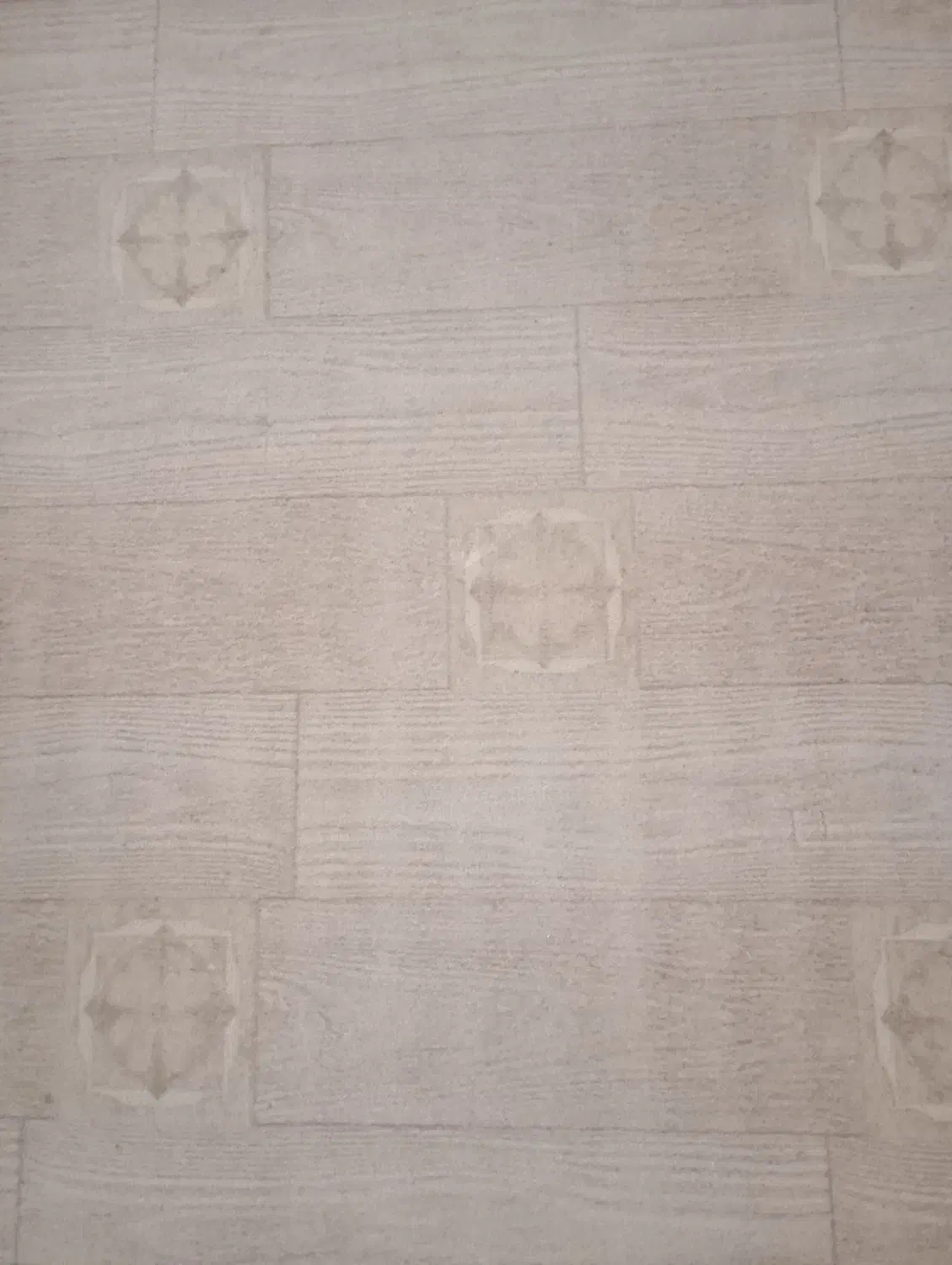 موکت پالاز|موکت|فسا, |دیوار