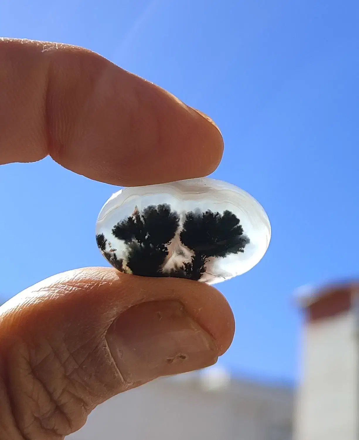 نگین شجر. رنگین کمان|جواهرات|فسا, |دیوار