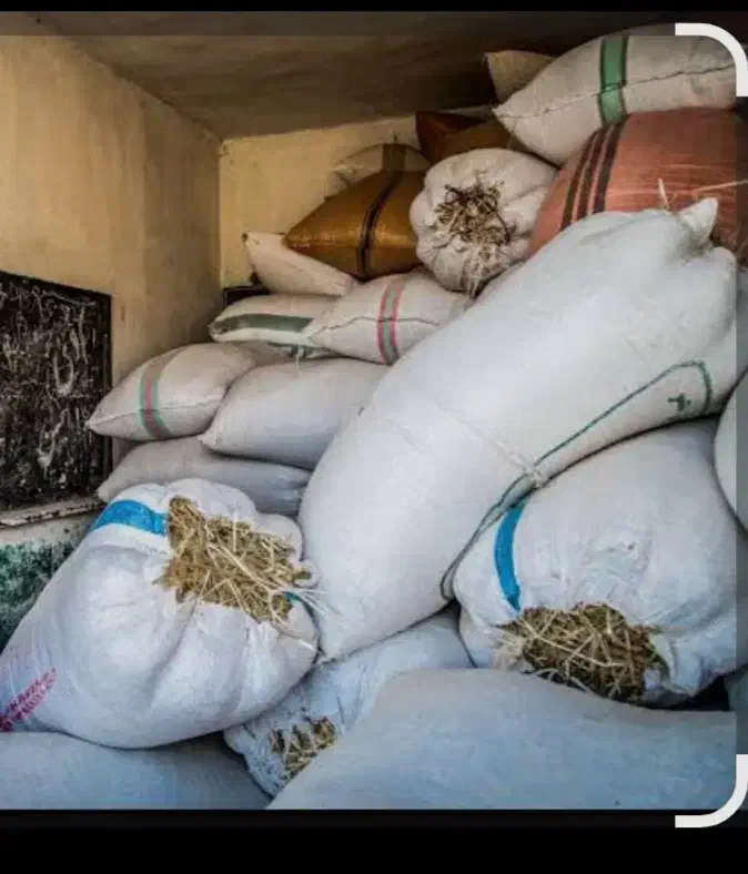 کاه|حیوانات مزرعه|وردشت, |دیوار