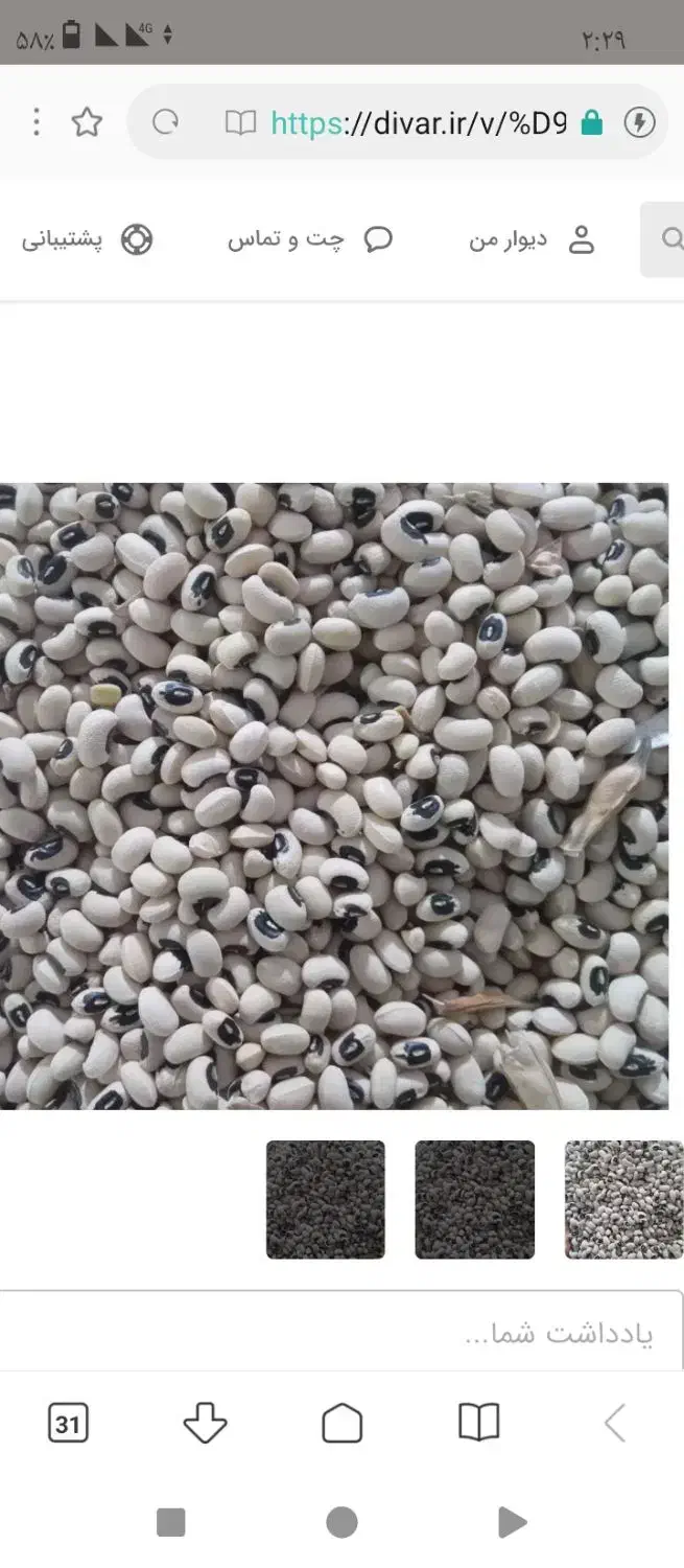 لوبیا چشم بلبلی|عمدهفروشی|کوهدشت, |دیوار