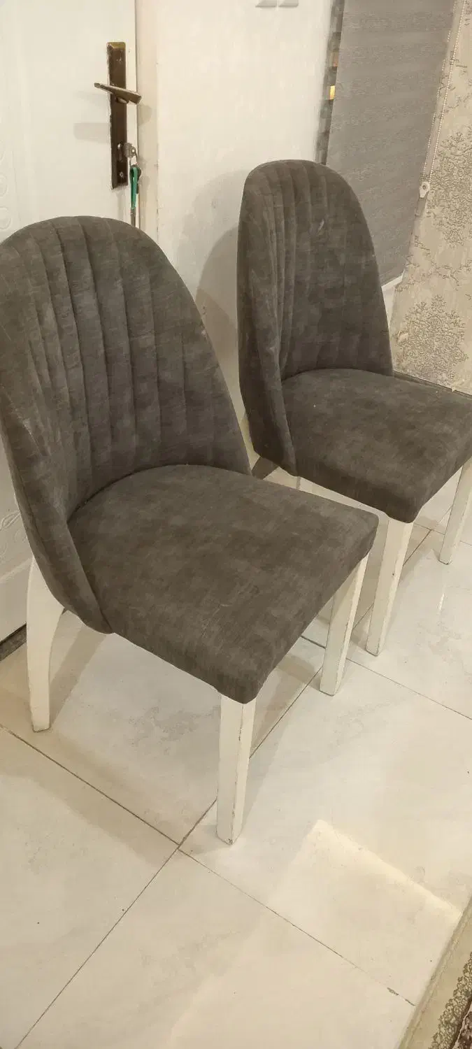 صندلی ۴عددسالم ۱۲۰۰|صندلی و نیمکت|رشت, توشیبا|دیوار