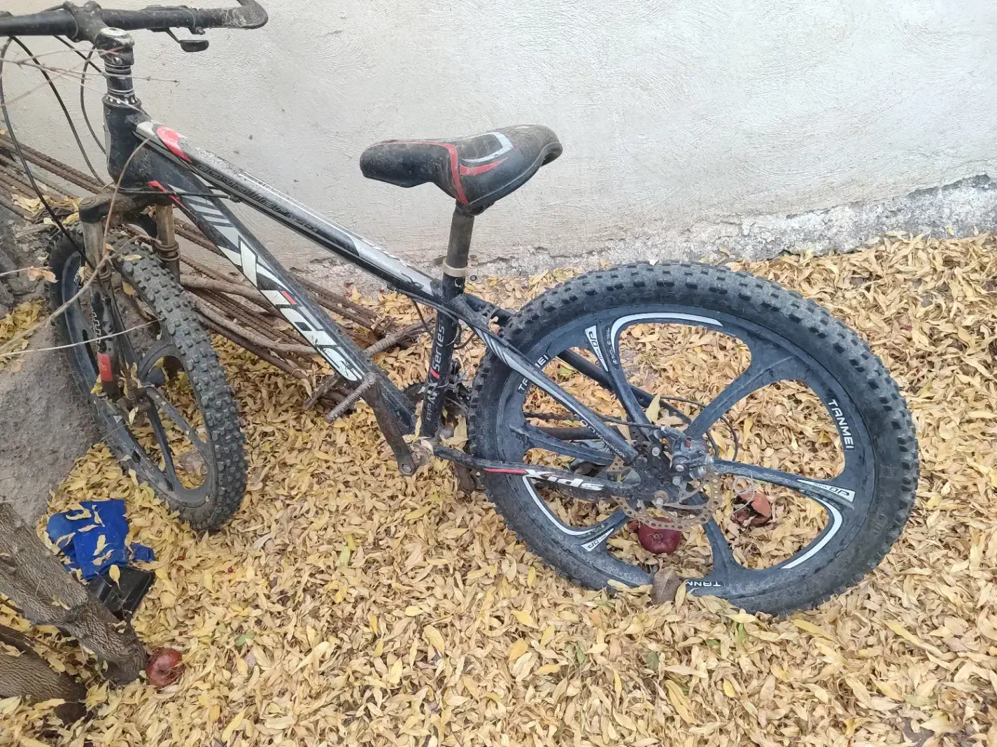 دوچرخه|دوچرخه، اسکیت، اسکوتر|خورش رستم, |دیوار