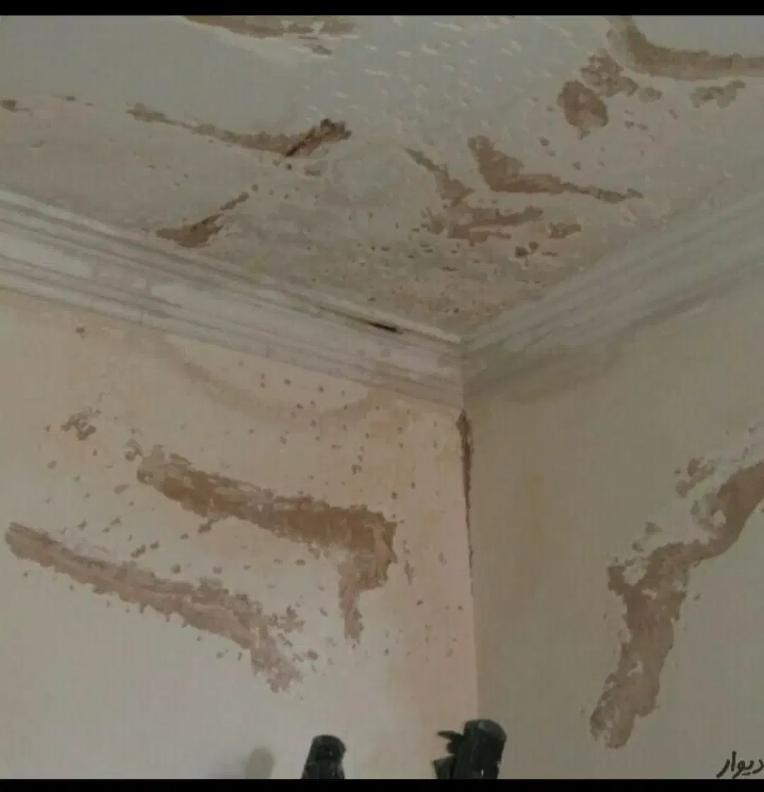 گچ کاری لک گیری نم زدیگی|خدمات پیشه و مهارت|مشهد, حجت|دیوار