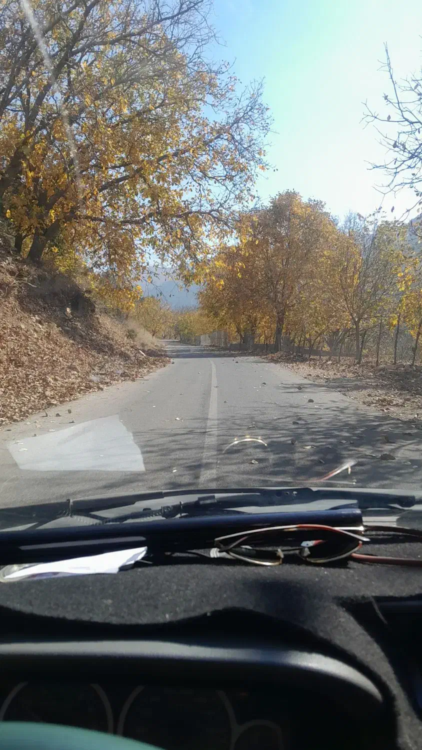 آموزش رانندگی ازاد|خدمات آموزشی|نورآباد ممسنی, |دیوار