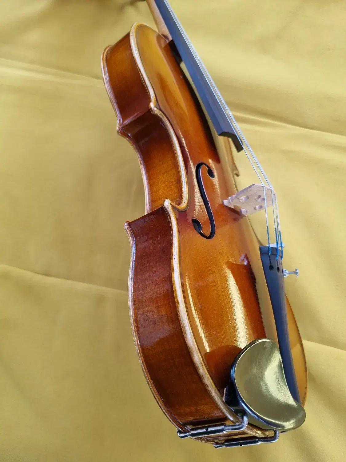 ویولن آلمانی|ویولن|شهرکرد, |دیوار