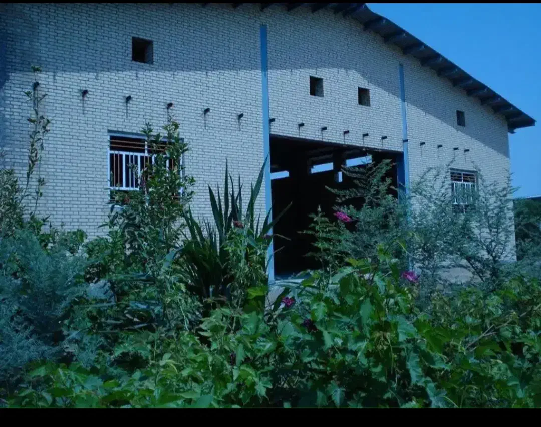 زمین تجاری 400 متری جنب باربری جزیره سبز|فروش زمین و ملک کلنگی|آبادان, |دیوار