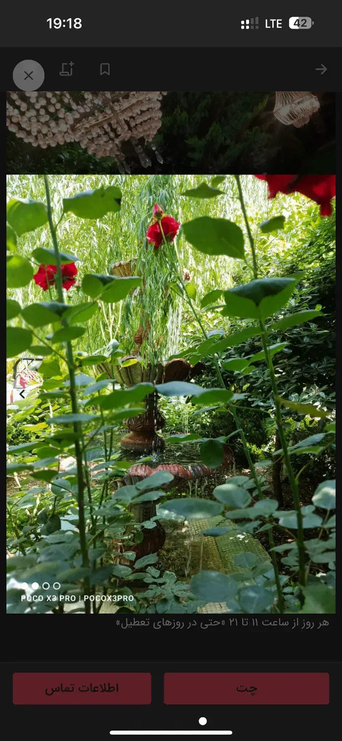 تالار بزرگ پذیرایی|خدمات پذیرایی، مراسم|زاهدان, |دیوار