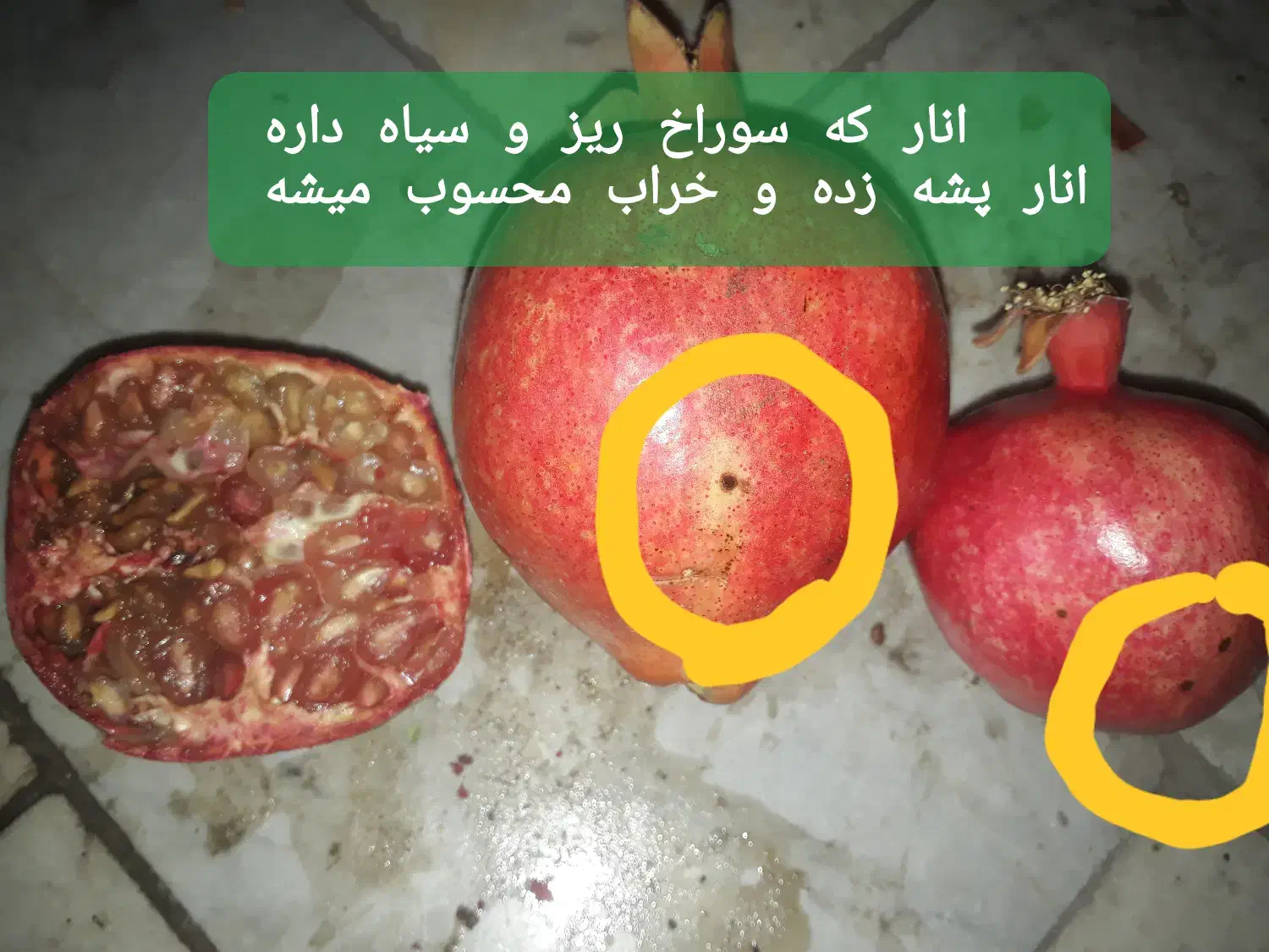 انار استرک آبدار و ملس|خوردنی و آشامیدنی|کاشان, جمال آباد|دیوار