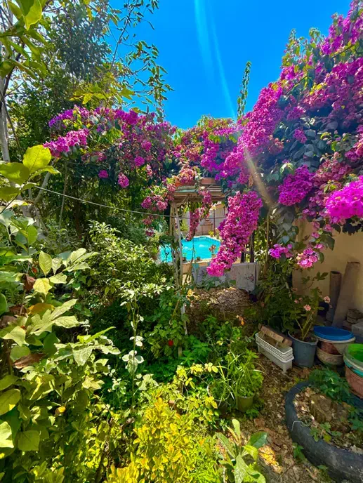 ویلاباغ۴۶۰متری/بافت/سند/استخر/همصفا|فروش خانه و ویلا|چمستان, |دیوار