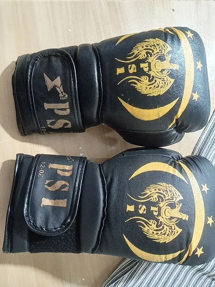 دستکش بکس|تجهیزات ورزشی|صدرا-فارس, فاز ۱|دیوار