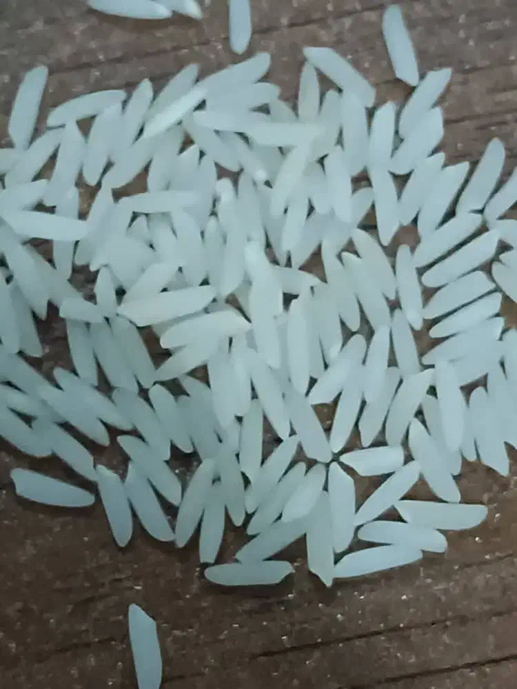 برنج طارم دم سیاه عطری|عمده‌فروشی|پاکدشت, پاکدشت (مامازند)|دیوار