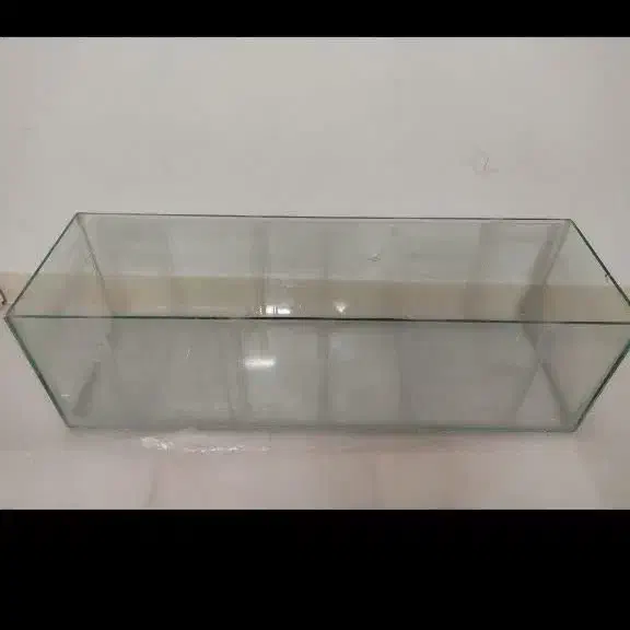 اکواریوم|ماهی|شاهرود, |دیوار