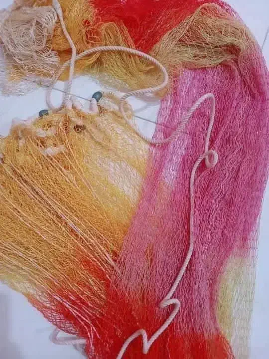 تور ماهیگیری|ماهیگیری|رشت, نظری|دیوار