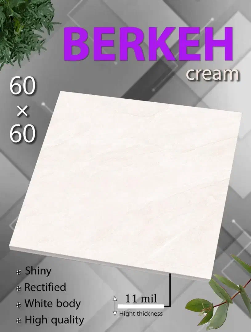 کاشی و سرامیک|مصالح و تجهیزات ساختمان|تهران, شیراز|دیوار