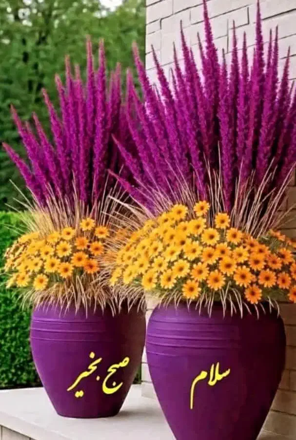 راهنمایی کلاس تقویتی|فعالیت داوطلبانه تحقیقاتی|تبریز, |دیوار