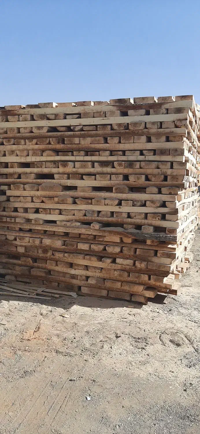 تخته صنوبر|عمدهفروشی|اسلامشهر, ده عباس|دیوار