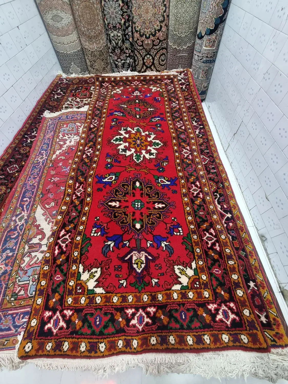 فرش قالیچه ++++|فرش|مراغه, |دیوار