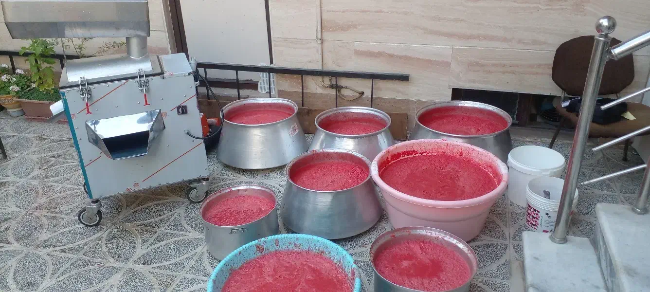 آبگیری گوجه سیاردرب منزل شما|خدمات پیشه و مهارت|بروجرد, |دیوار