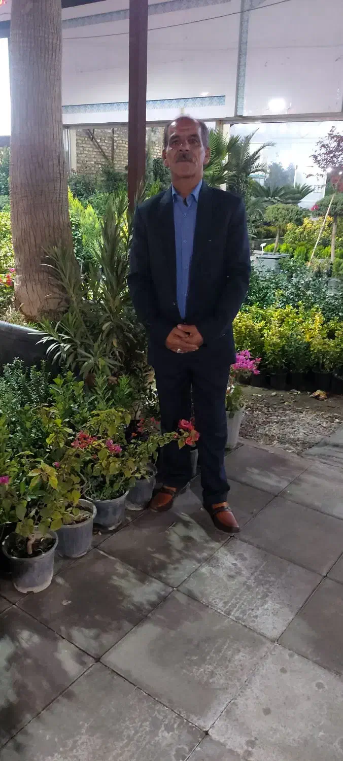 سلام موزایک کاری سیمنکاری دیوارچینی|خدمات پیشه و مهارت|تربتحیدریه, سرمحله|دیوار