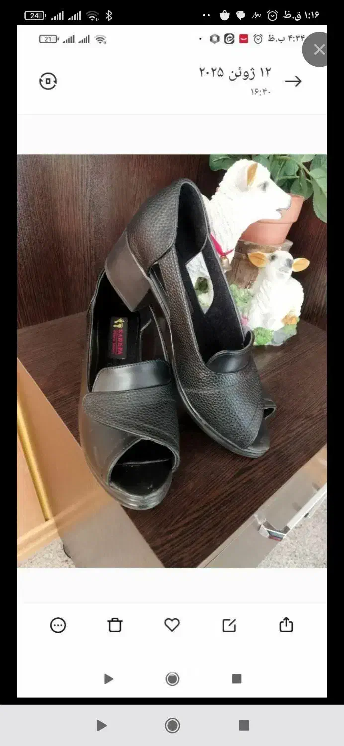 تعدادی کیف و کفش و لباس نو|کیف، کفش، کمربند|الیگودرز, |دیوار