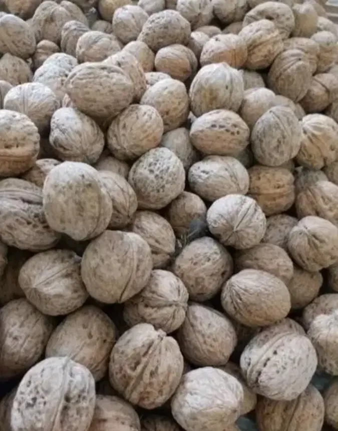 گردو|خوردنی و آشامیدنی|اسفراین, |دیوار