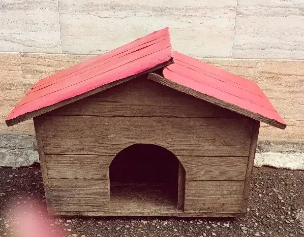 لانه سگ|لوازم جانبی حیوانات|رشت, لاکان شهر|دیوار