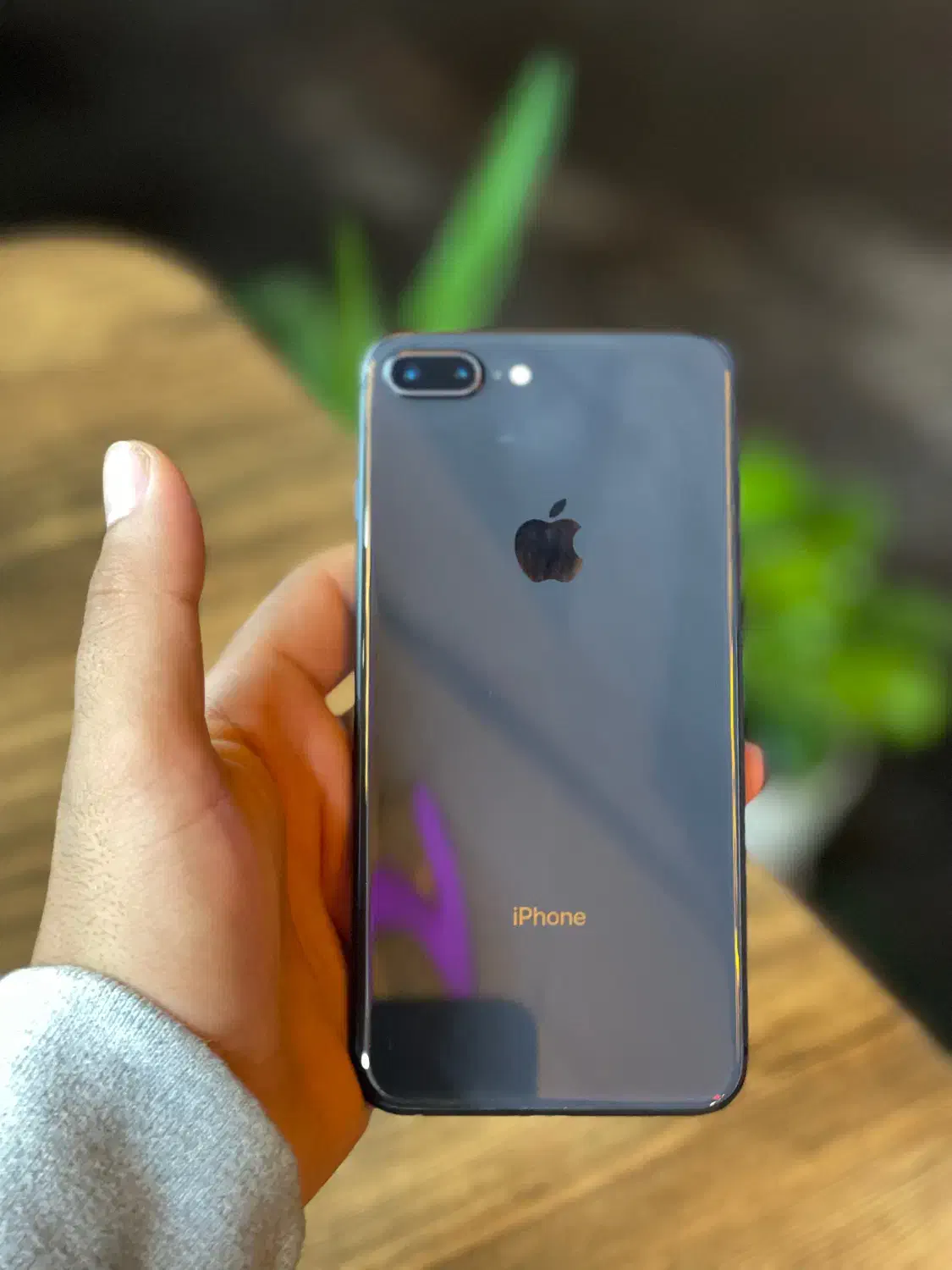 iphone 8 plus 64|موبایل|ساری, |دیوار