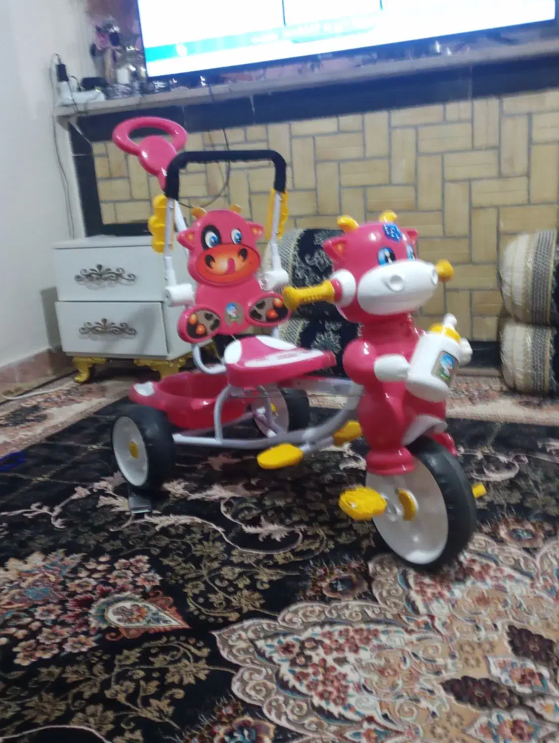 دوچرخه کودک|دوچرخه، اسکیت، اسکوتر|یاسوج, |دیوار