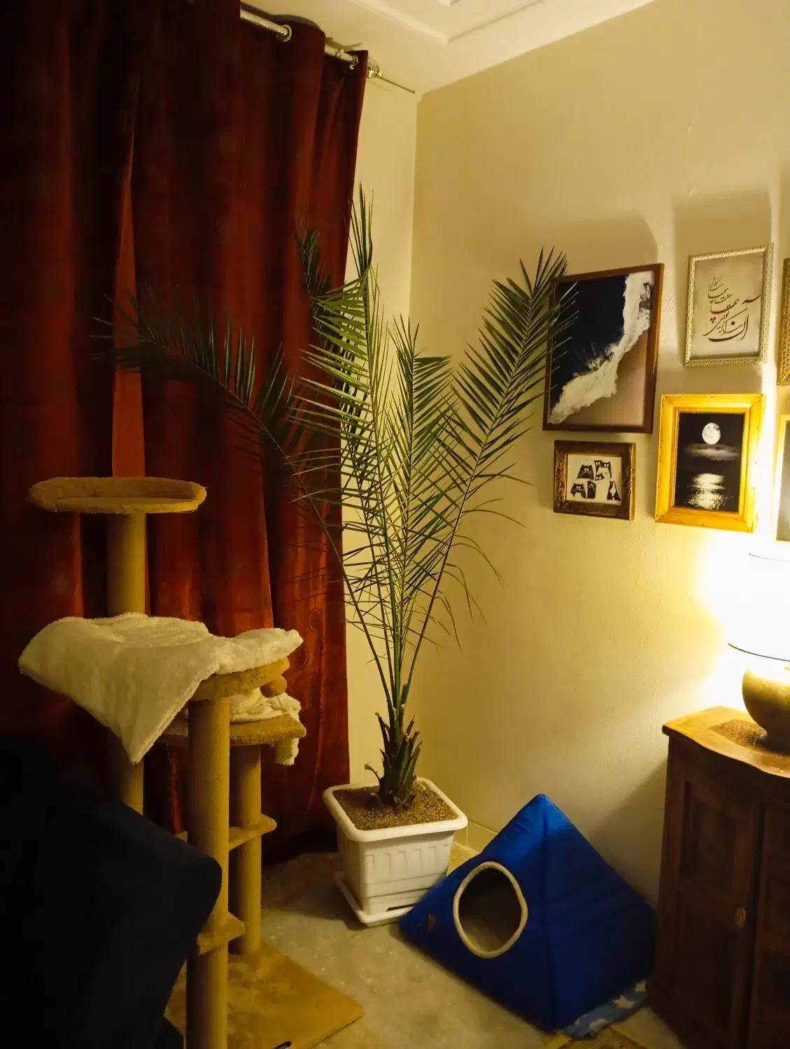 جای خواب پت|لوازم جانبی حیوانات|شاهین‌شهر, فردوسی|دیوار